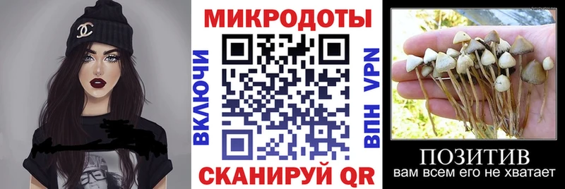 Галлюциногенные грибы прущие грибы Абдулино