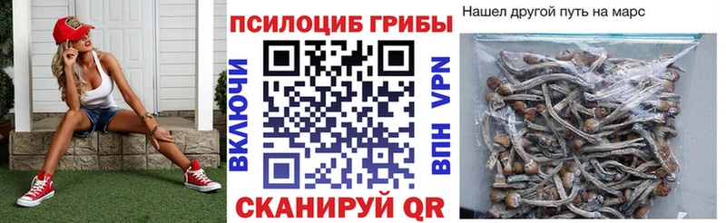 Псилоцибиновые грибы прущие грибы  Абдулино 